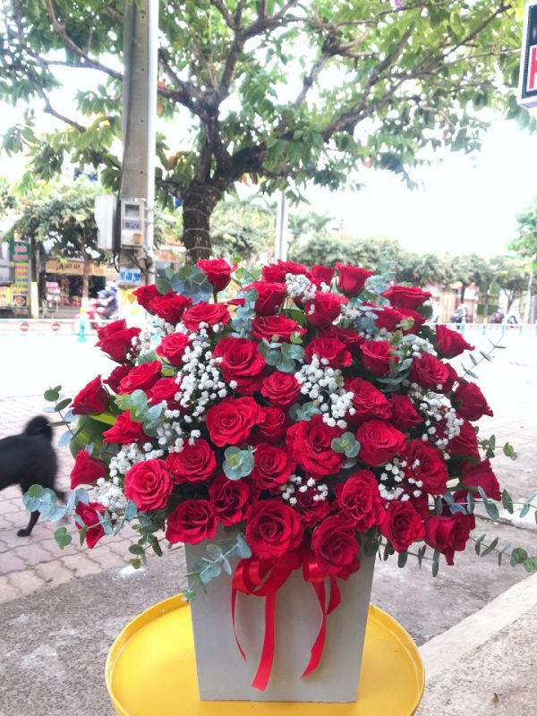 Shop Hoa Tươi Thị Trấn Đức Phong, Bù Đăng, Bình Phước