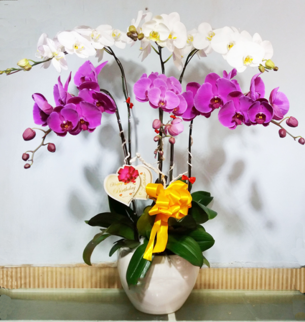 Sao Nên Chọn Shop Hoa Tươi Thị Trấn Tân Khai, Hớn Quản, Bình Phước